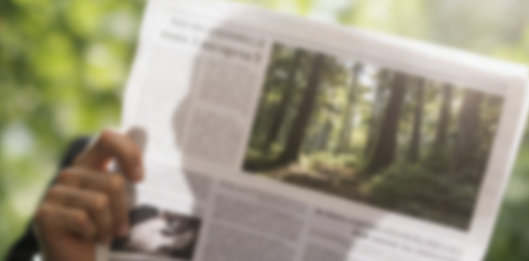 木業(yè)公司新聞動態(tài)